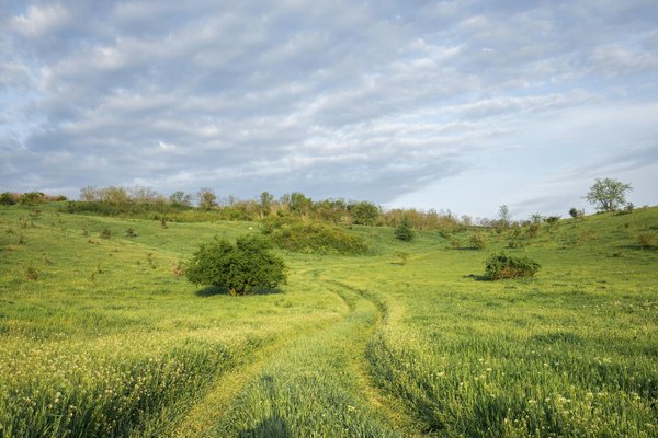 Comment explorer les grottes de glace en Islande à moindre coût?
