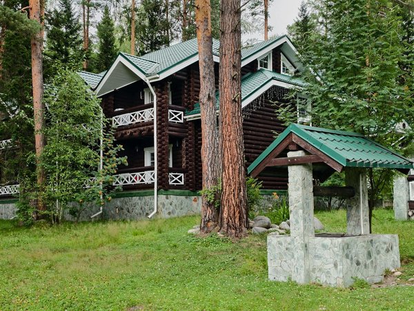 Comment organiser une croisière pour explorer les zones de mangroves en Afrique de l'Ouest?